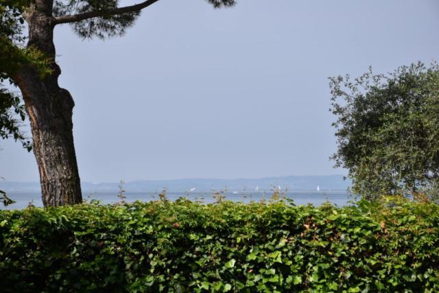 Rivalago Bardolino Exterior photo
